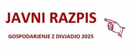 divjad 2025