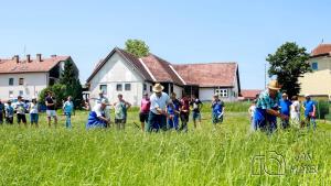 62354569_2251021101599597_4356444972543639552_o