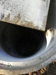 IMG_20190926_111530_resized_20190926_123622479