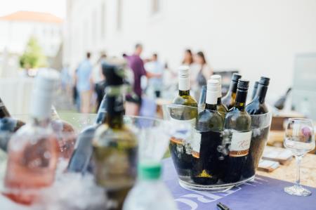 2022_06_Obcina_Sveta_Trojica_Trojicafest_drugi_dan_foto_Bostjan_Podlogar_008