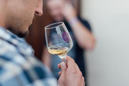 2022_06_Obcina_Sveta_Trojica_Trojicafest_drugi_dan_foto_Bostjan_Podlogar_018