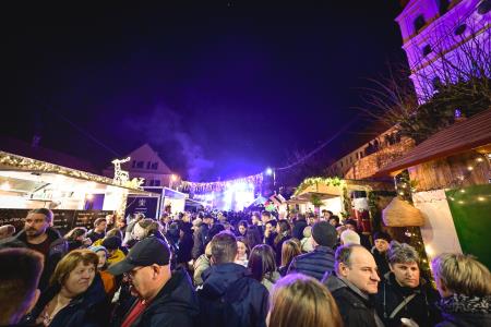 visit_trojica_zive_jaslice_2023_12_26_MAR6015_pigac_si