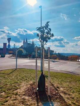 561180396_1406415641484185_8924044314551523182_n